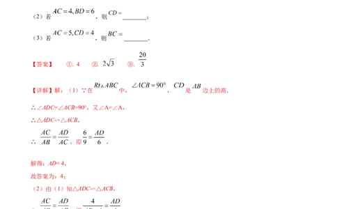 专题06双垂直型（解析版）-2022-2023学年九年级数学相似三角形基本模型探究（北师大版）_北师大初中数学_9下-北师大版初中数学_06专项讲练