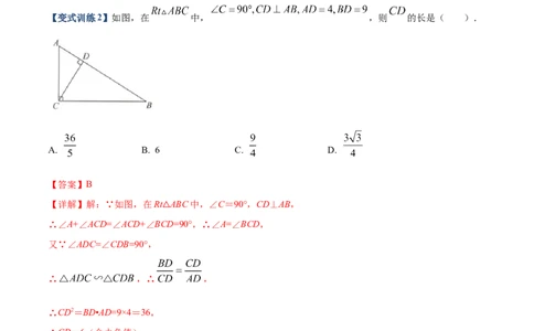 专题06双垂直型（解析版）-2022-2023学年九年级数学相似三角形基本模型探究（北师大版）_北师大初中数学_9下-北师大版初中数学_06专项讲练