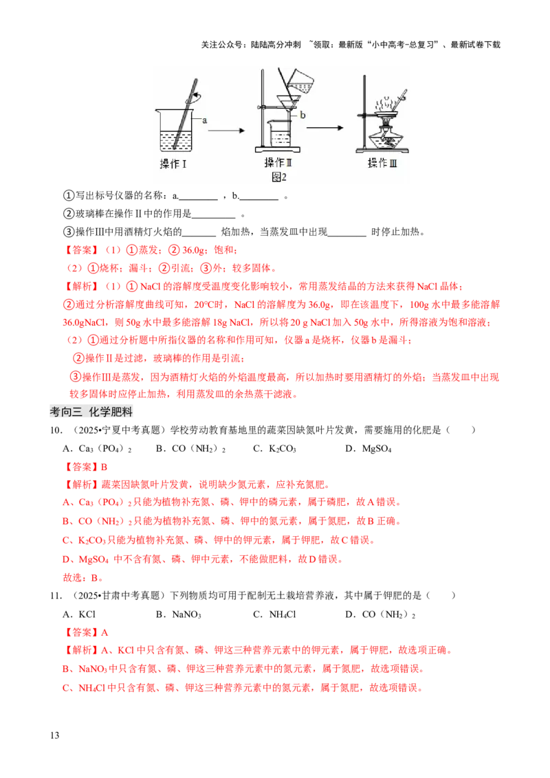 专题07常见的盐和化肥（解析版）_02中考总复习（2026版更新中）_05-化学-中考总复习_2026年中考复习（更新中）_备战2026年中考化学真题题源解密