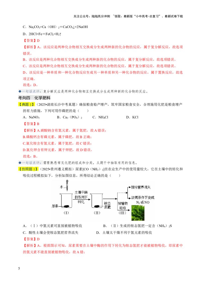 专题07常见的盐和化肥（解析版）_02中考总复习（2026版更新中）_05-化学-中考总复习_2026年中考复习（更新中）_备战2026年中考化学真题题源解密