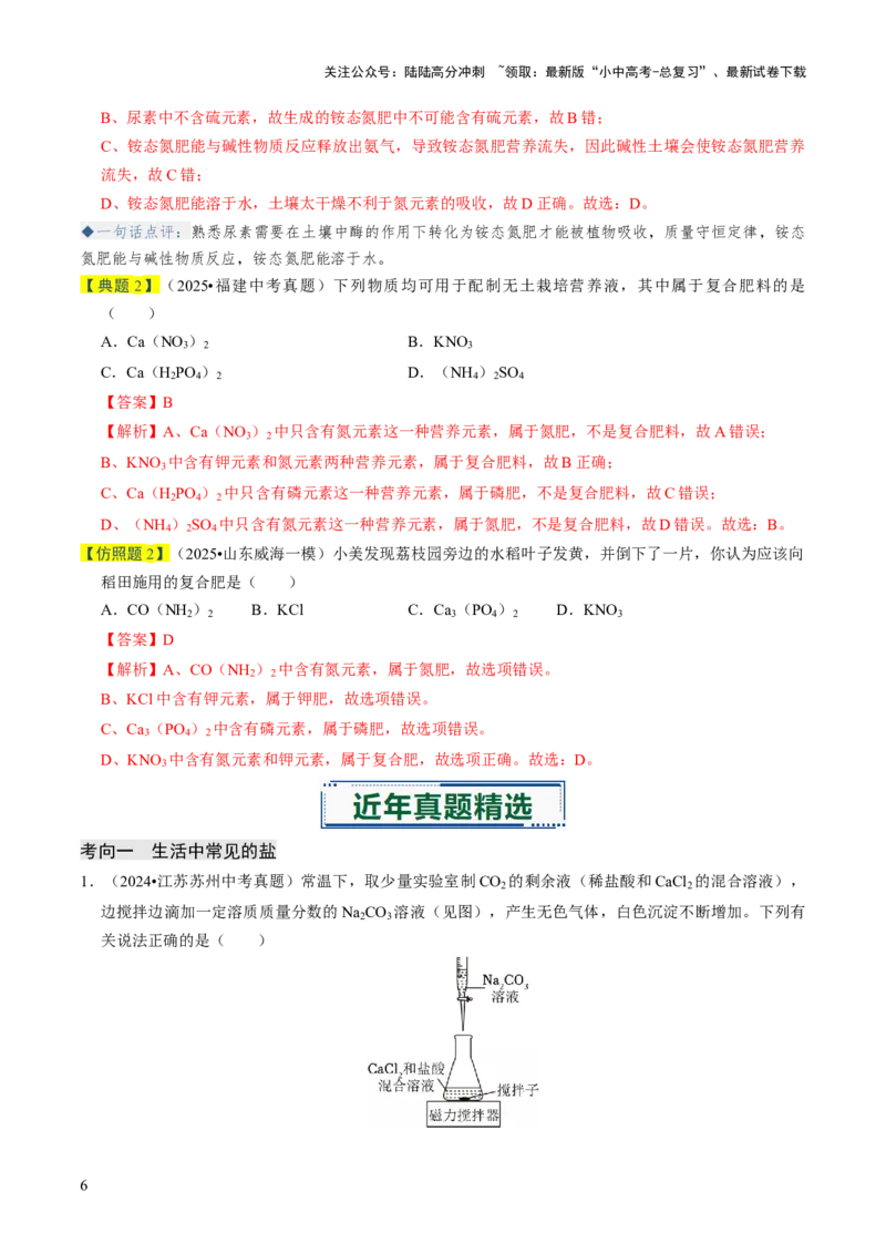 专题07常见的盐和化肥（解析版）_02中考总复习（2026版更新中）_05-化学-中考总复习_2026年中考复习（更新中）_备战2026年中考化学真题题源解密