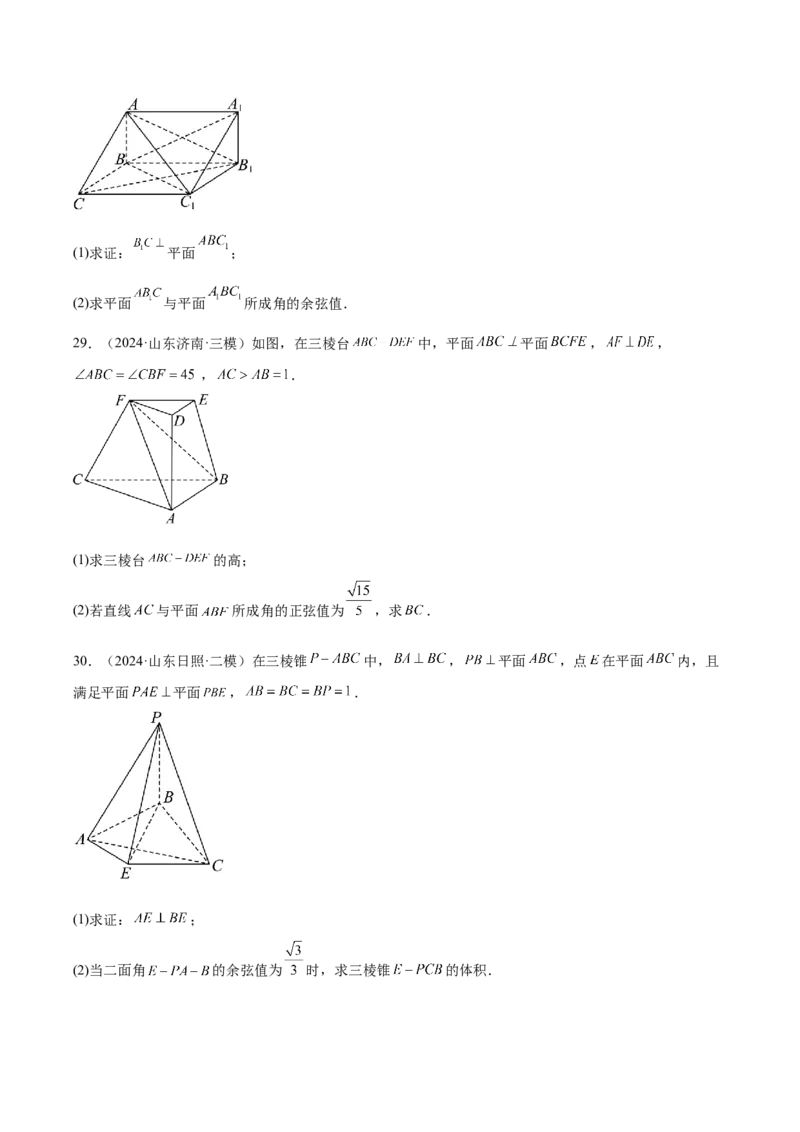 专题13立体几何与空间向量（原卷版）_02高考数学_2025年新高考资料_专项复习_2024年高考真题和模拟题数学分类汇编（全国通用）（完结）