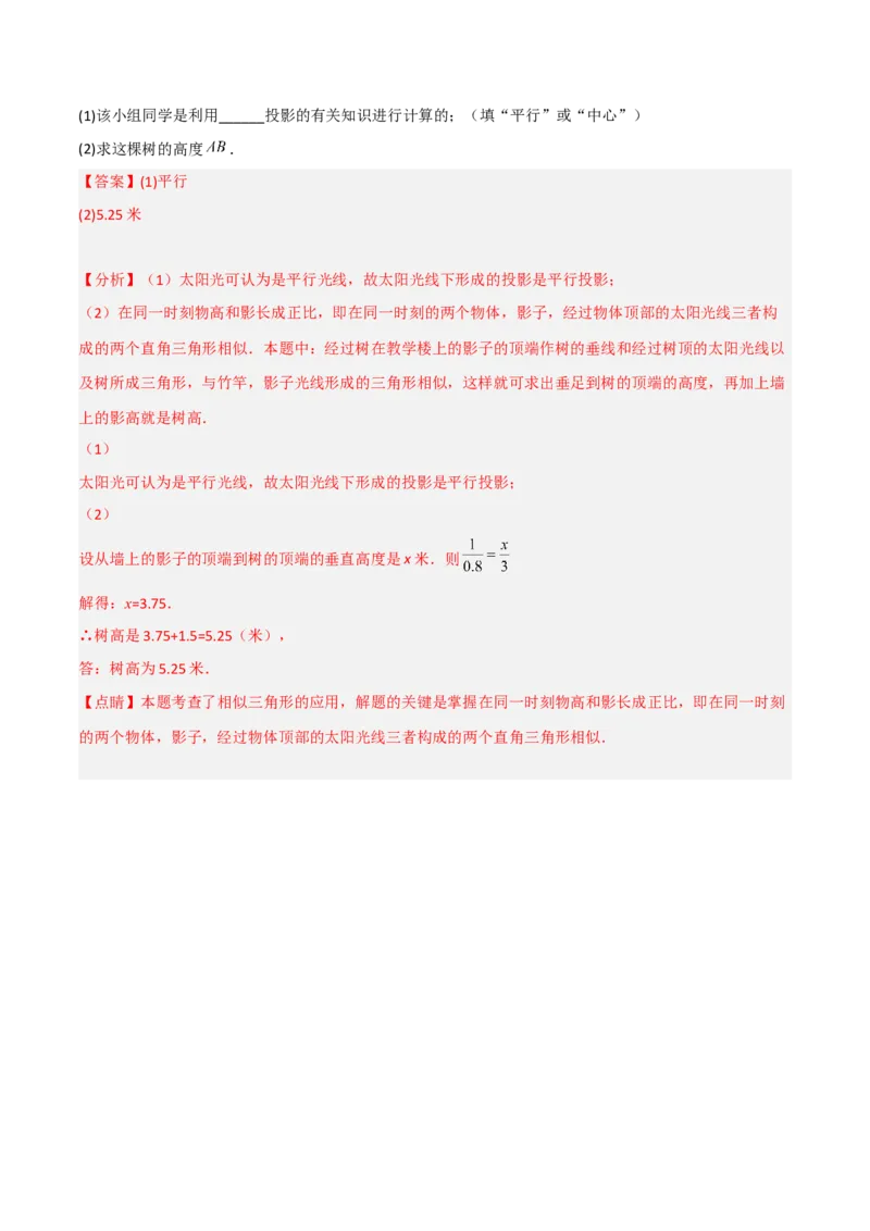 5.1投影（分层练习）（解析版）_北师大初中数学_9上-北师大版初中数学_05习题试卷_1课时练习_同步练习（第1套）