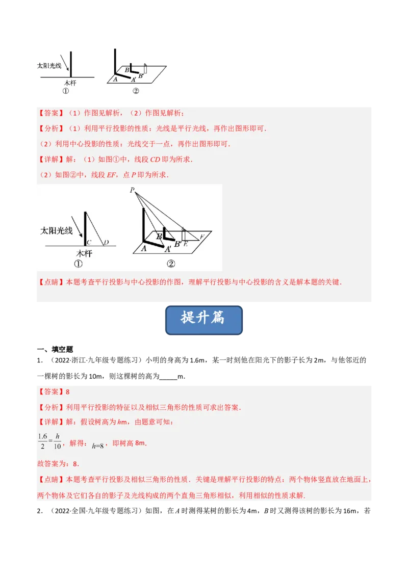 5.1投影（分层练习）（解析版）_北师大初中数学_9上-北师大版初中数学_05习题试卷_1课时练习_同步练习（第1套）