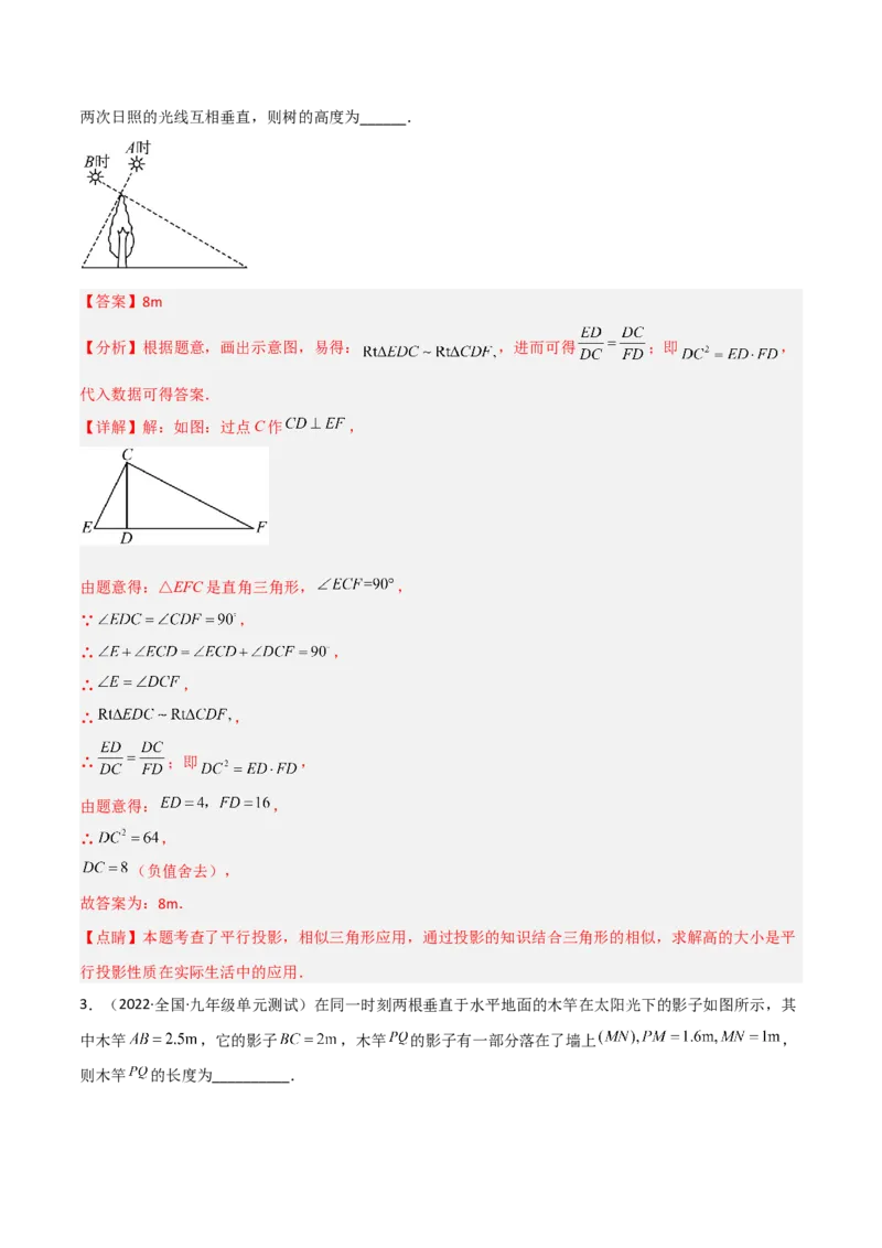 5.1投影（分层练习）（解析版）_北师大初中数学_9上-北师大版初中数学_05习题试卷_1课时练习_同步练习（第1套）