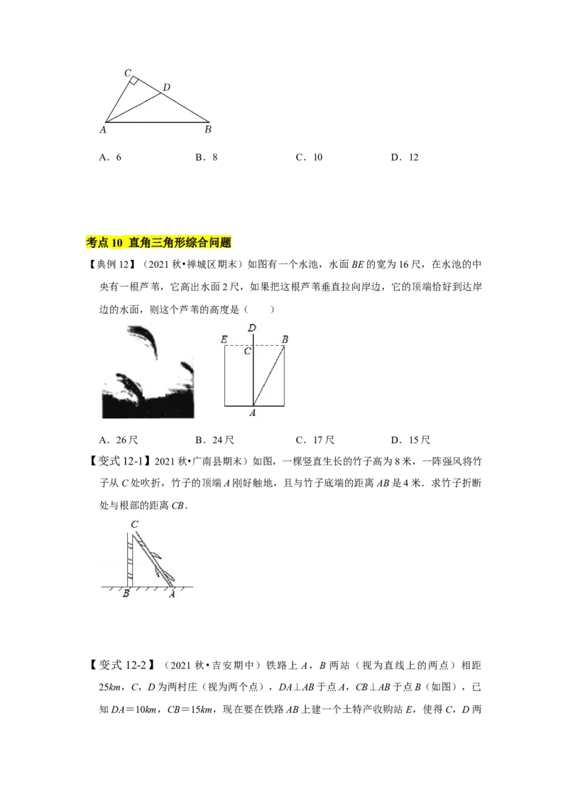 专题01三角形证明（知识点梳理+典例剖析+变式训练）-八年级数学下学期期末冲刺满分必刷常考压轴题（北师大版）_北师大初中数学_8下-北师大版初中数学_旧版-可参考_06专项讲练
