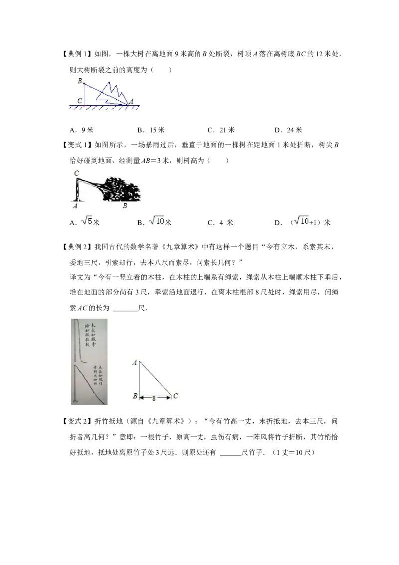 专项06勾股定理之大树折断模型综合应用（2大类型）（原卷版）_北师大初中数学_8上-北师大版初中数学_旧版_06专项讲练_2022-2023学年八年级数学上册高分突破必练专题（北师大版）