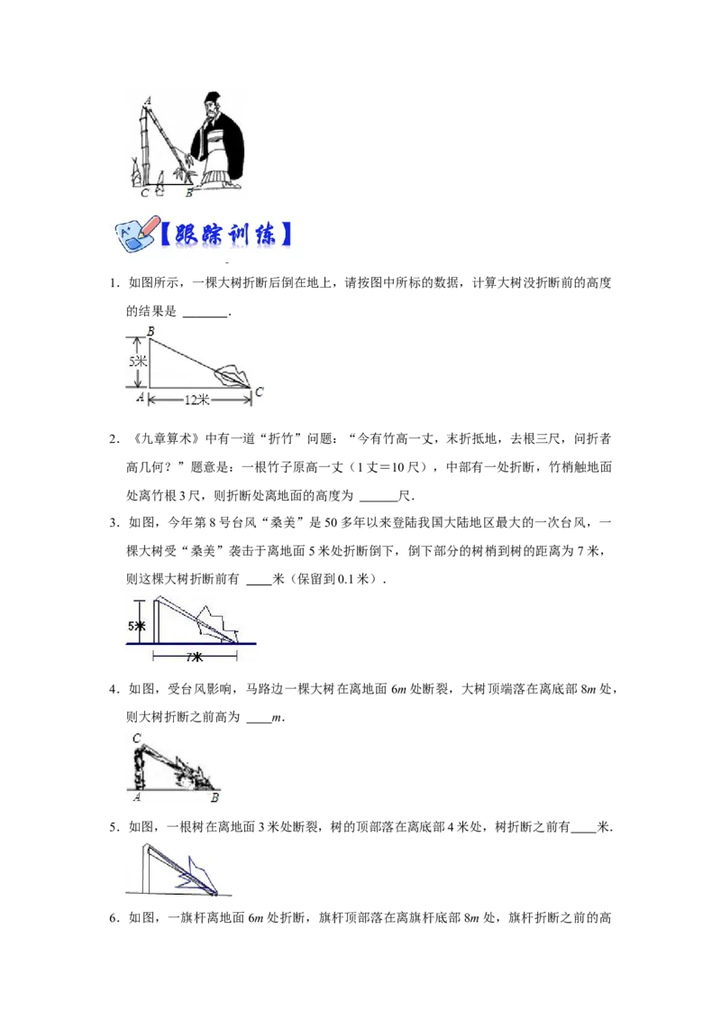 专项06勾股定理之大树折断模型综合应用（2大类型）（原卷版）_北师大初中数学_8上-北师大版初中数学_旧版_06专项讲练_2022-2023学年八年级数学上册高分突破必练专题（北师大版）