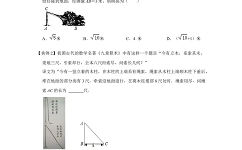 专项06勾股定理之大树折断模型综合应用（2大类型）（原卷版）_北师大初中数学_8上-北师大版初中数学_旧版_06专项讲练_2022-2023学年八年级数学上册高分突破必练专题（北师大版）