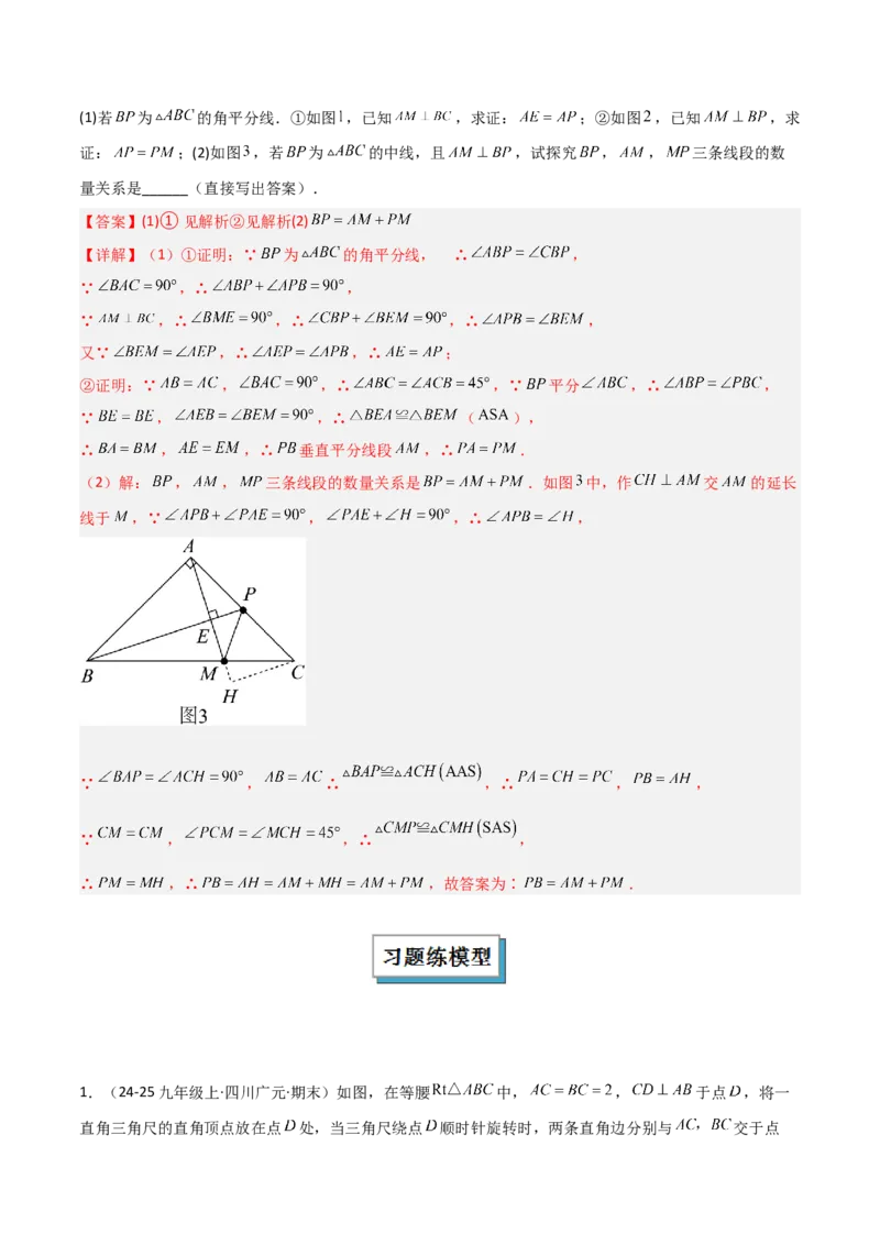 专题05等腰（等边）三角形中重要模型之等直内接等直模型与等直+高分模型（几何模型讲义）（教师版）_北师大初中数学_8上-北师大版初中数学_初中数学北师大8上-2025秋季新版_2026版