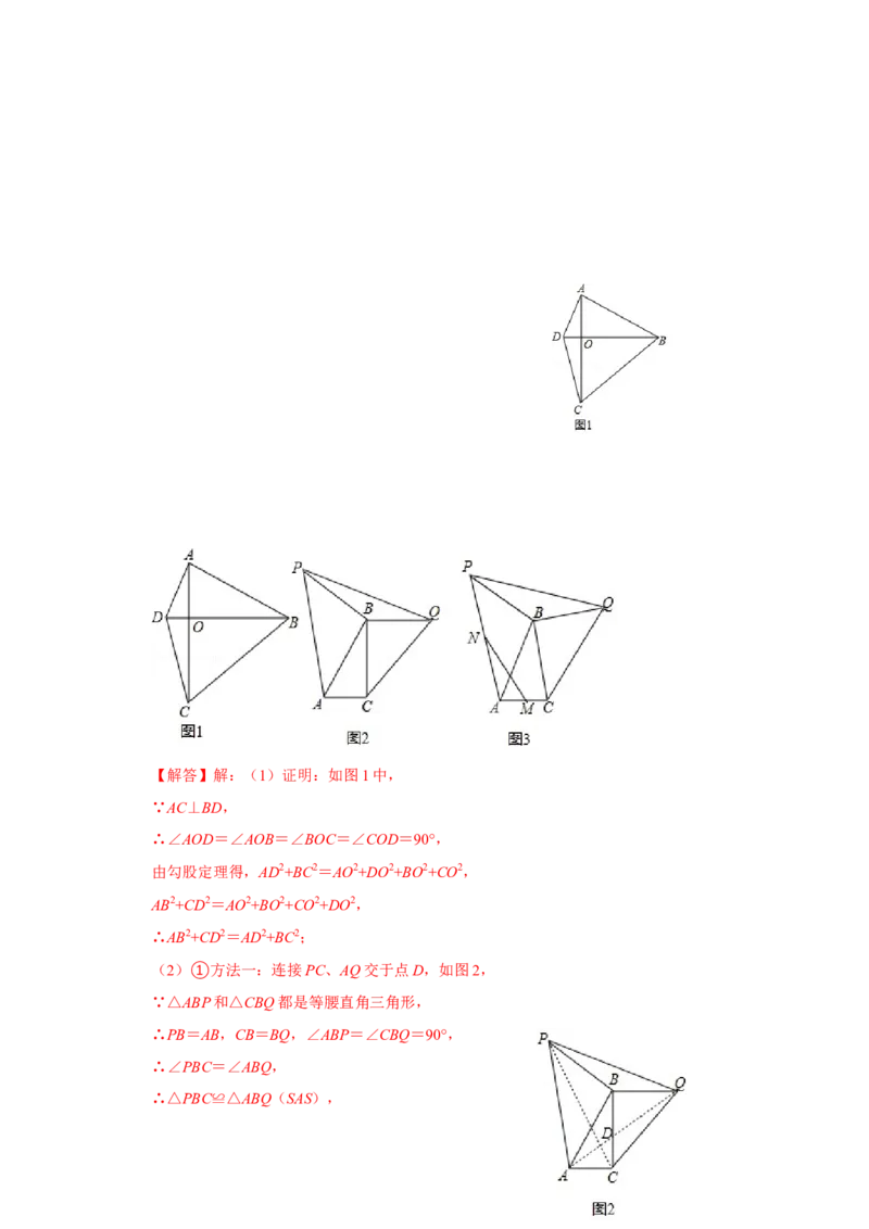 专项10勾股定理之垂美四边形模型综合应用（解析版）_北师大初中数学_8上-北师大版初中数学_旧版_06专项讲练_2022-2023学年八年级数学上册高分突破必练专题（北师大版）