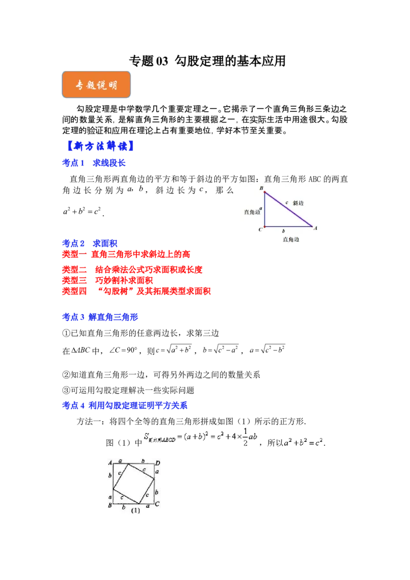 专题03勾股定理的基本应用（十大类型）（解析版）-2022-2023学年八年级数学下册《高分突破&bull;培优新方法》（北师大版）_北师大初中数学_8下-北师大版初中数学_旧版-可参考_06专项讲练