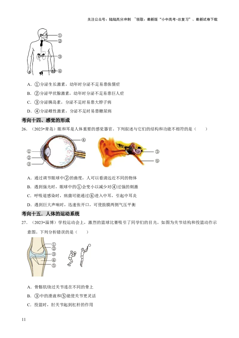题型突破一结构图作答（原版卷）_02中考总复习（2026版更新中）_08-生物-中考总复习_2024年中考复习资料_三轮复习_查漏补缺2024年中考生物复习冲刺过关（全国通用）_查补能力&middot;提升练