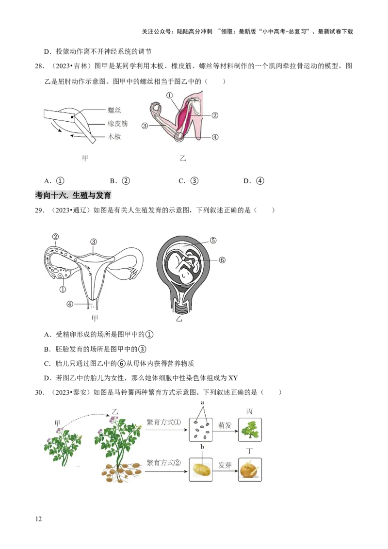题型突破一结构图作答（原版卷）_02中考总复习（2026版更新中）_08-生物-中考总复习_2024年中考复习资料_三轮复习_查漏补缺2024年中考生物复习冲刺过关（全国通用）_查补能力&middot;提升练