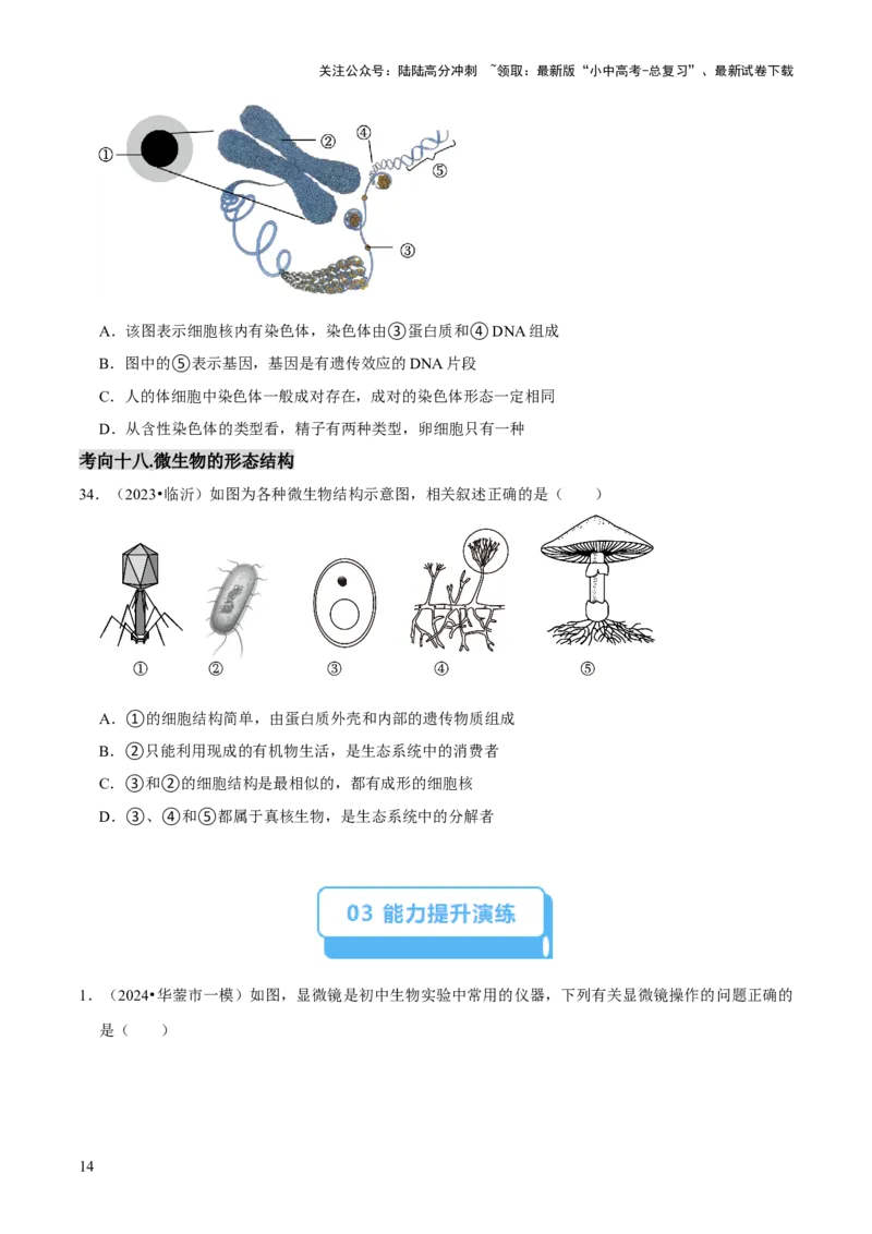 题型突破一结构图作答（原版卷）_02中考总复习（2026版更新中）_08-生物-中考总复习_2024年中考复习资料_三轮复习_查漏补缺2024年中考生物复习冲刺过关（全国通用）_查补能力&middot;提升练
