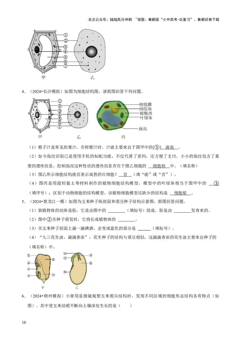 题型突破一结构图作答（原版卷）_02中考总复习（2026版更新中）_08-生物-中考总复习_2024年中考复习资料_三轮复习_查漏补缺2024年中考生物复习冲刺过关（全国通用）_查补能力&middot;提升练