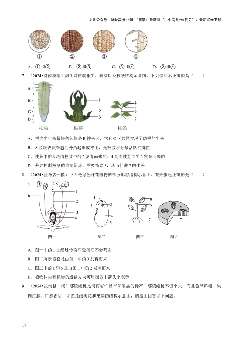 题型突破一结构图作答（原版卷）_02中考总复习（2026版更新中）_08-生物-中考总复习_2024年中考复习资料_三轮复习_查漏补缺2024年中考生物复习冲刺过关（全国通用）_查补能力&middot;提升练
