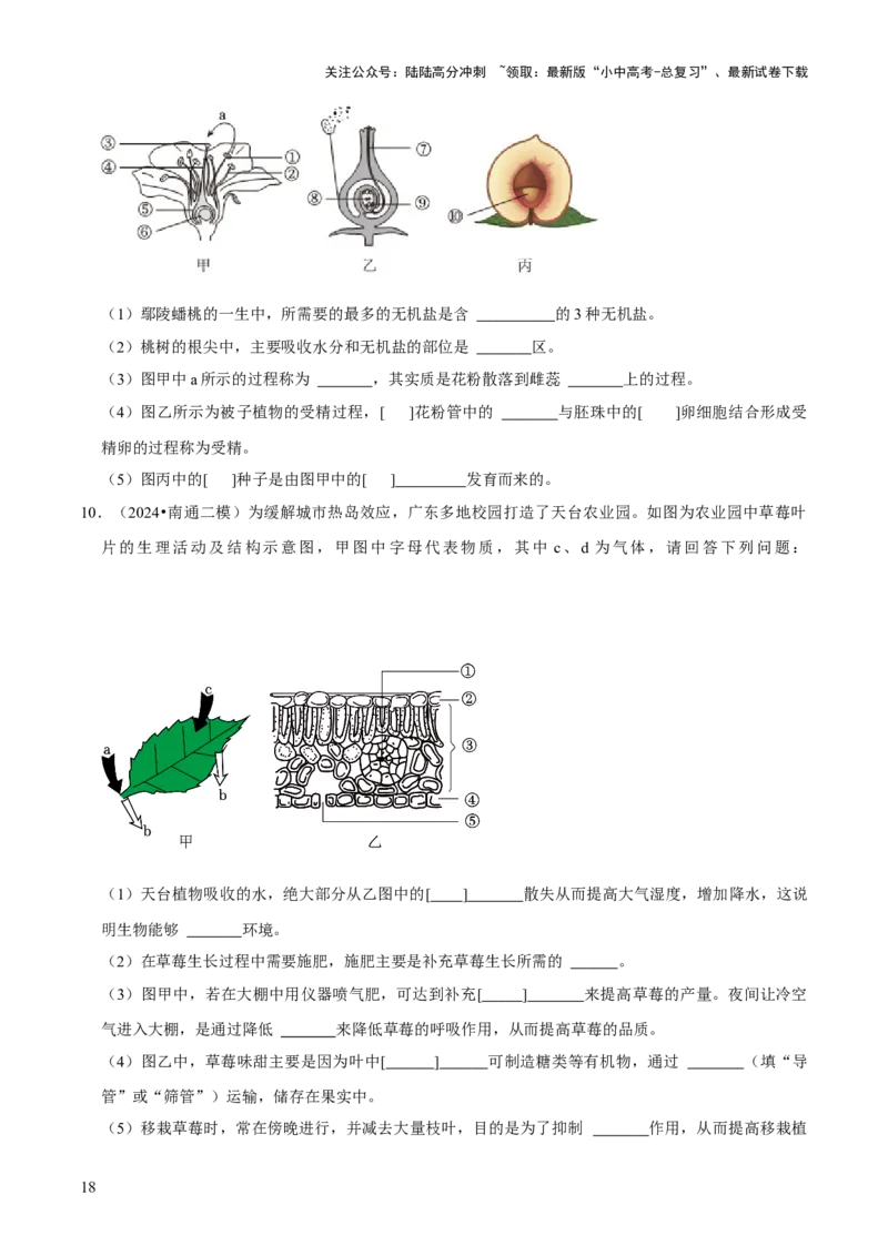 题型突破一结构图作答（原版卷）_02中考总复习（2026版更新中）_08-生物-中考总复习_2024年中考复习资料_三轮复习_查漏补缺2024年中考生物复习冲刺过关（全国通用）_查补能力&middot;提升练