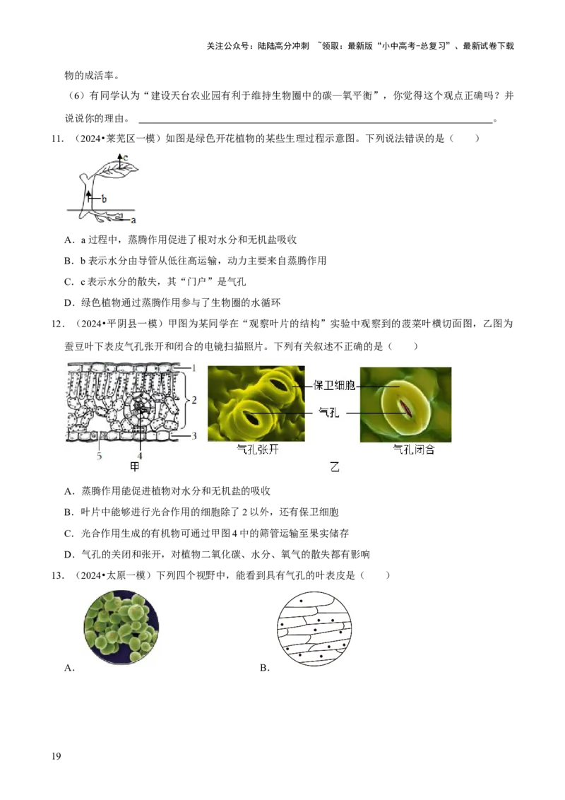 题型突破一结构图作答（原版卷）_02中考总复习（2026版更新中）_08-生物-中考总复习_2024年中考复习资料_三轮复习_查漏补缺2024年中考生物复习冲刺过关（全国通用）_查补能力&middot;提升练