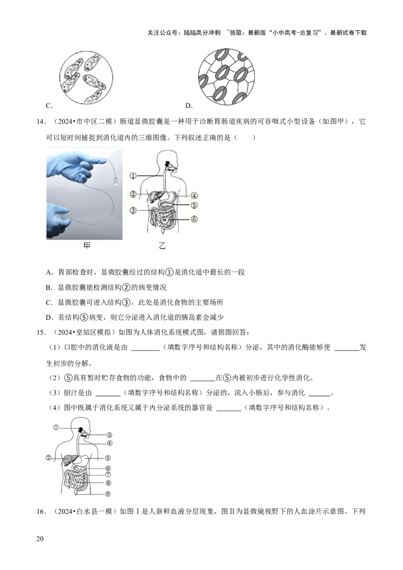 题型突破一结构图作答（原版卷）_02中考总复习（2026版更新中）_08-生物-中考总复习_2024年中考复习资料_三轮复习_查漏补缺2024年中考生物复习冲刺过关（全国通用）_查补能力&middot;提升练