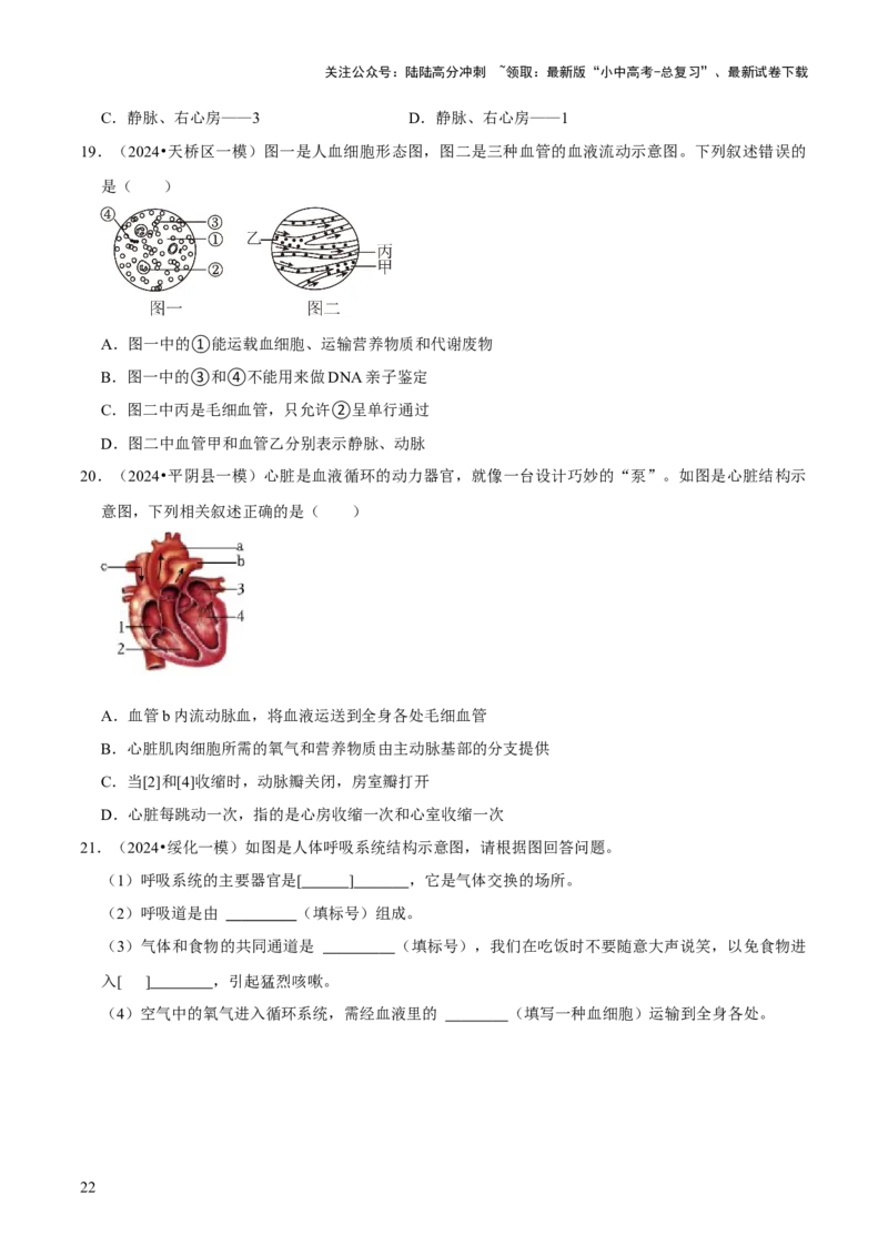 题型突破一结构图作答（原版卷）_02中考总复习（2026版更新中）_08-生物-中考总复习_2024年中考复习资料_三轮复习_查漏补缺2024年中考生物复习冲刺过关（全国通用）_查补能力&middot;提升练