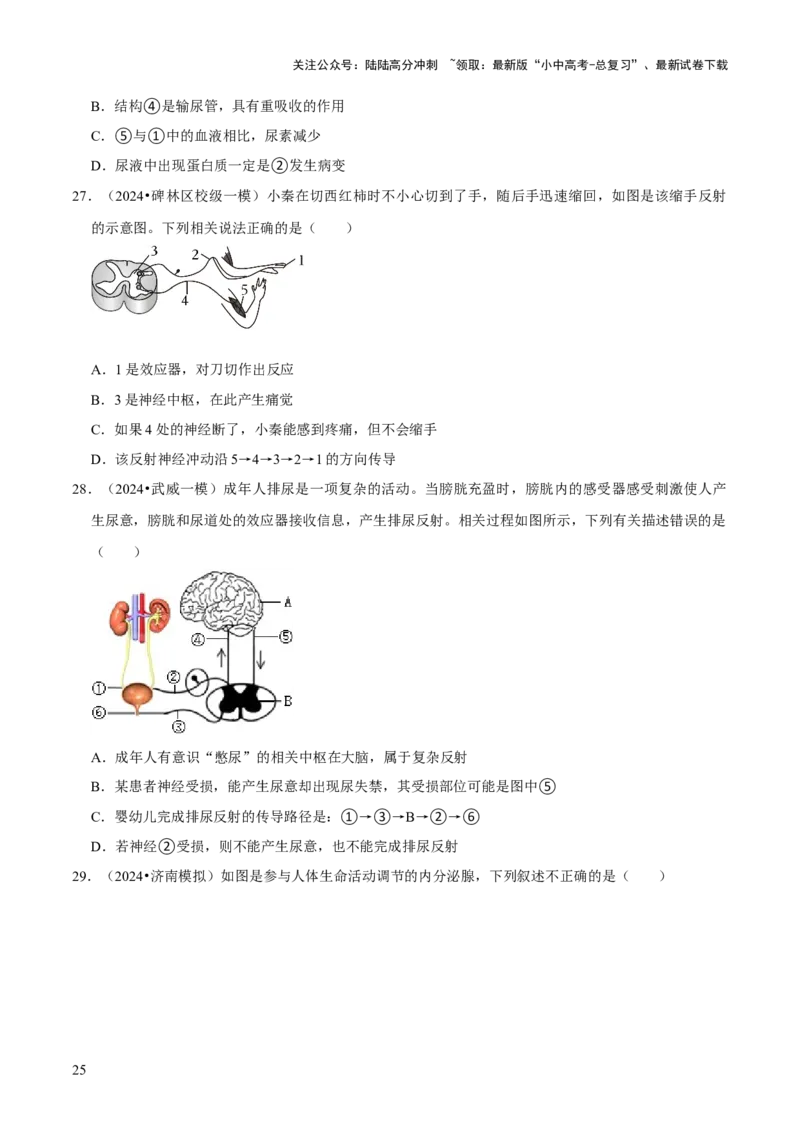 题型突破一结构图作答（原版卷）_02中考总复习（2026版更新中）_08-生物-中考总复习_2024年中考复习资料_三轮复习_查漏补缺2024年中考生物复习冲刺过关（全国通用）_查补能力&middot;提升练