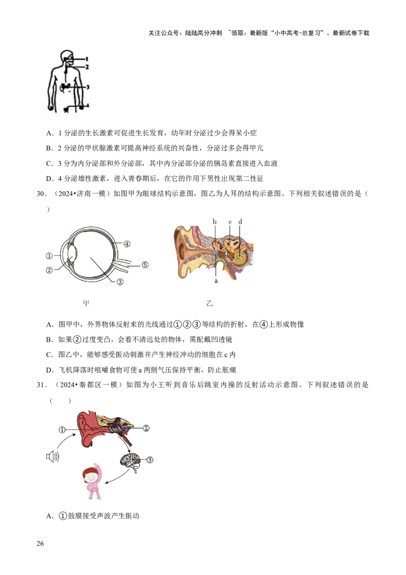题型突破一结构图作答（原版卷）_02中考总复习（2026版更新中）_08-生物-中考总复习_2024年中考复习资料_三轮复习_查漏补缺2024年中考生物复习冲刺过关（全国通用）_查补能力&middot;提升练