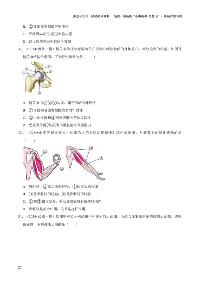 题型突破一结构图作答（原版卷）_02中考总复习（2026版更新中）_08-生物-中考总复习_2024年中考复习资料_三轮复习_查漏补缺2024年中考生物复习冲刺过关（全国通用）_查补能力&middot;提升练