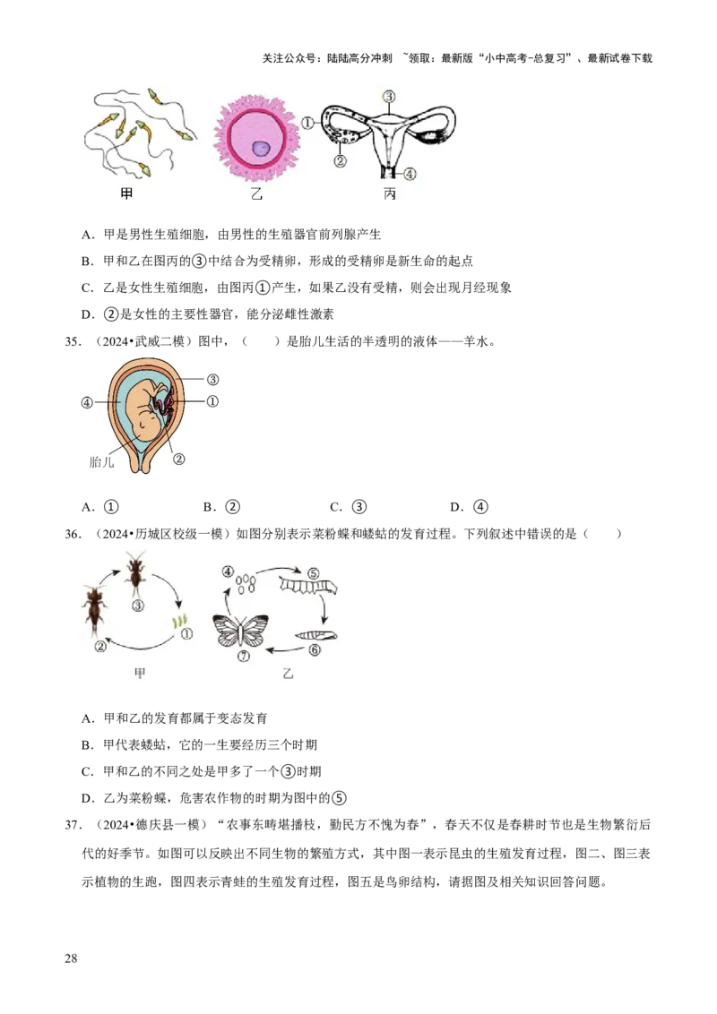 题型突破一结构图作答（原版卷）_02中考总复习（2026版更新中）_08-生物-中考总复习_2024年中考复习资料_三轮复习_查漏补缺2024年中考生物复习冲刺过关（全国通用）_查补能力&middot;提升练