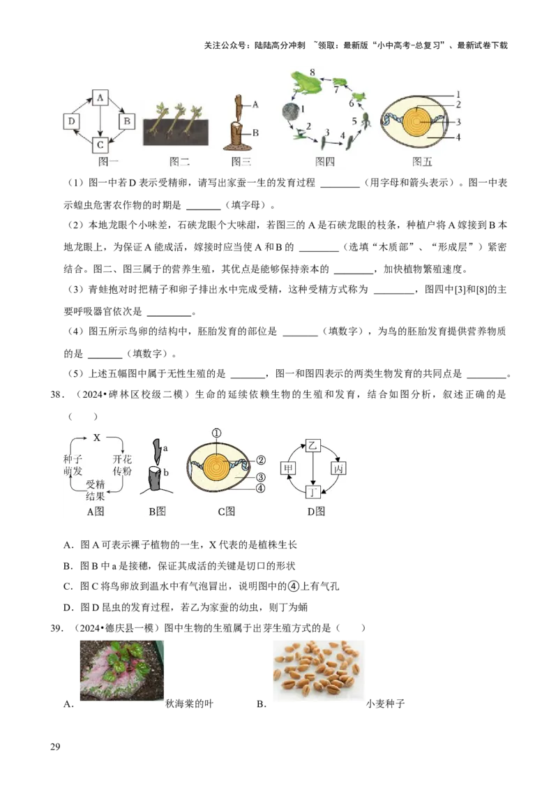 题型突破一结构图作答（原版卷）_02中考总复习（2026版更新中）_08-生物-中考总复习_2024年中考复习资料_三轮复习_查漏补缺2024年中考生物复习冲刺过关（全国通用）_查补能力&middot;提升练