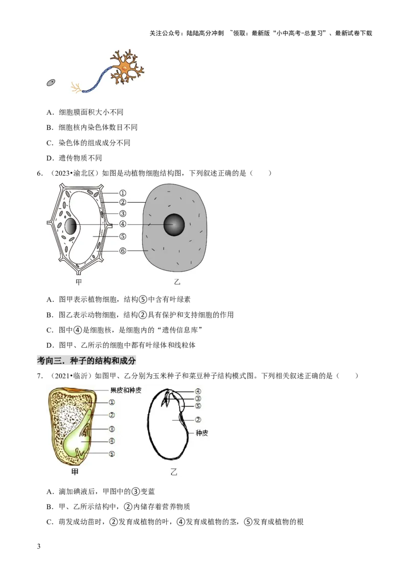 题型突破一结构图作答（原版卷）_02中考总复习（2026版更新中）_08-生物-中考总复习_2024年中考复习资料_三轮复习_查漏补缺2024年中考生物复习冲刺过关（全国通用）_查补能力&middot;提升练