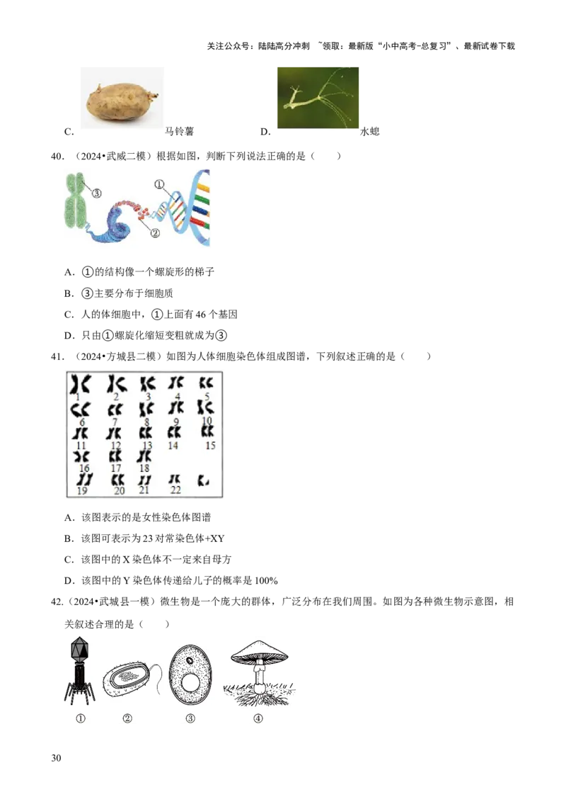 题型突破一结构图作答（原版卷）_02中考总复习（2026版更新中）_08-生物-中考总复习_2024年中考复习资料_三轮复习_查漏补缺2024年中考生物复习冲刺过关（全国通用）_查补能力&middot;提升练