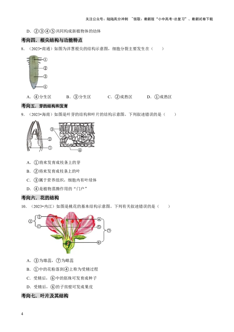 题型突破一结构图作答（原版卷）_02中考总复习（2026版更新中）_08-生物-中考总复习_2024年中考复习资料_三轮复习_查漏补缺2024年中考生物复习冲刺过关（全国通用）_查补能力&middot;提升练