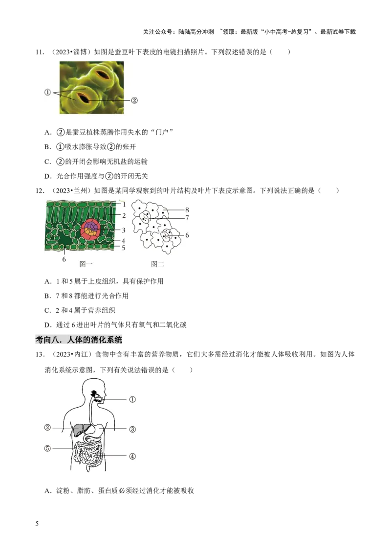 题型突破一结构图作答（原版卷）_02中考总复习（2026版更新中）_08-生物-中考总复习_2024年中考复习资料_三轮复习_查漏补缺2024年中考生物复习冲刺过关（全国通用）_查补能力&middot;提升练