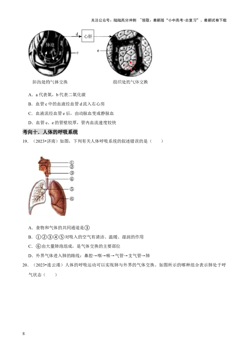 题型突破一结构图作答（原版卷）_02中考总复习（2026版更新中）_08-生物-中考总复习_2024年中考复习资料_三轮复习_查漏补缺2024年中考生物复习冲刺过关（全国通用）_查补能力&middot;提升练