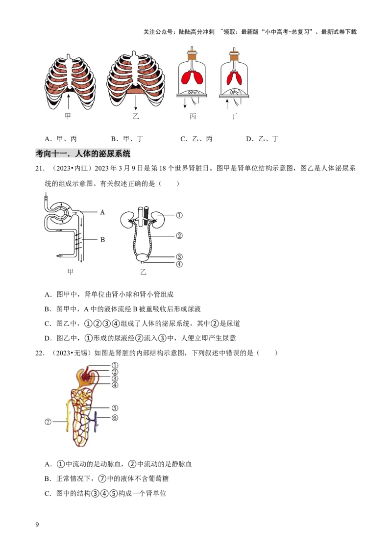题型突破一结构图作答（原版卷）_02中考总复习（2026版更新中）_08-生物-中考总复习_2024年中考复习资料_三轮复习_查漏补缺2024年中考生物复习冲刺过关（全国通用）_查补能力&middot;提升练