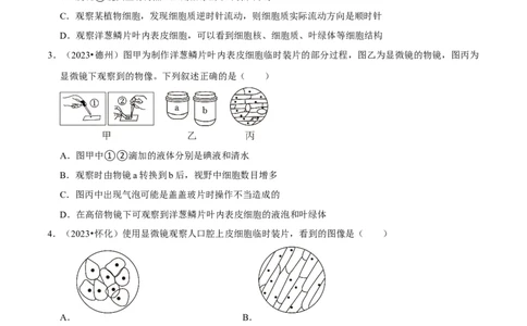 题型突破一结构图作答（原版卷）_02中考总复习（2026版更新中）_08-生物-中考总复习_2024年中考复习资料_三轮复习_查漏补缺2024年中考生物复习冲刺过关（全国通用）_查补能力&middot;提升练