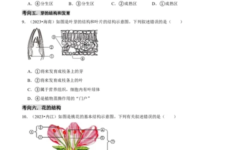 题型突破一结构图作答（原版卷）_02中考总复习（2026版更新中）_08-生物-中考总复习_2024年中考复习资料_三轮复习_查漏补缺2024年中考生物复习冲刺过关（全国通用）_查补能力&middot;提升练