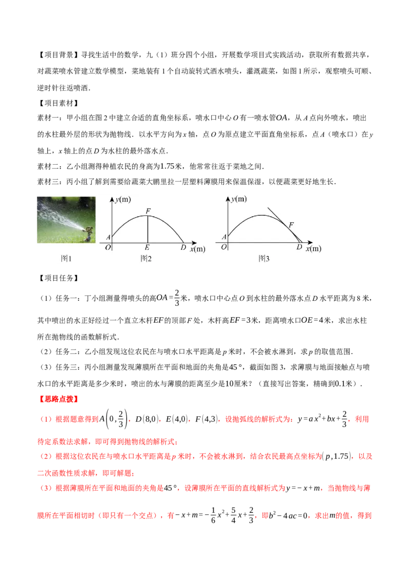 专题22.7喷水问题&mdash;&mdash;二次函数的应用（压轴题专项讲练）（人教版）（教师版）_初中数学_九年级数学上册（人教版）_压轴题专项-V5_2025版