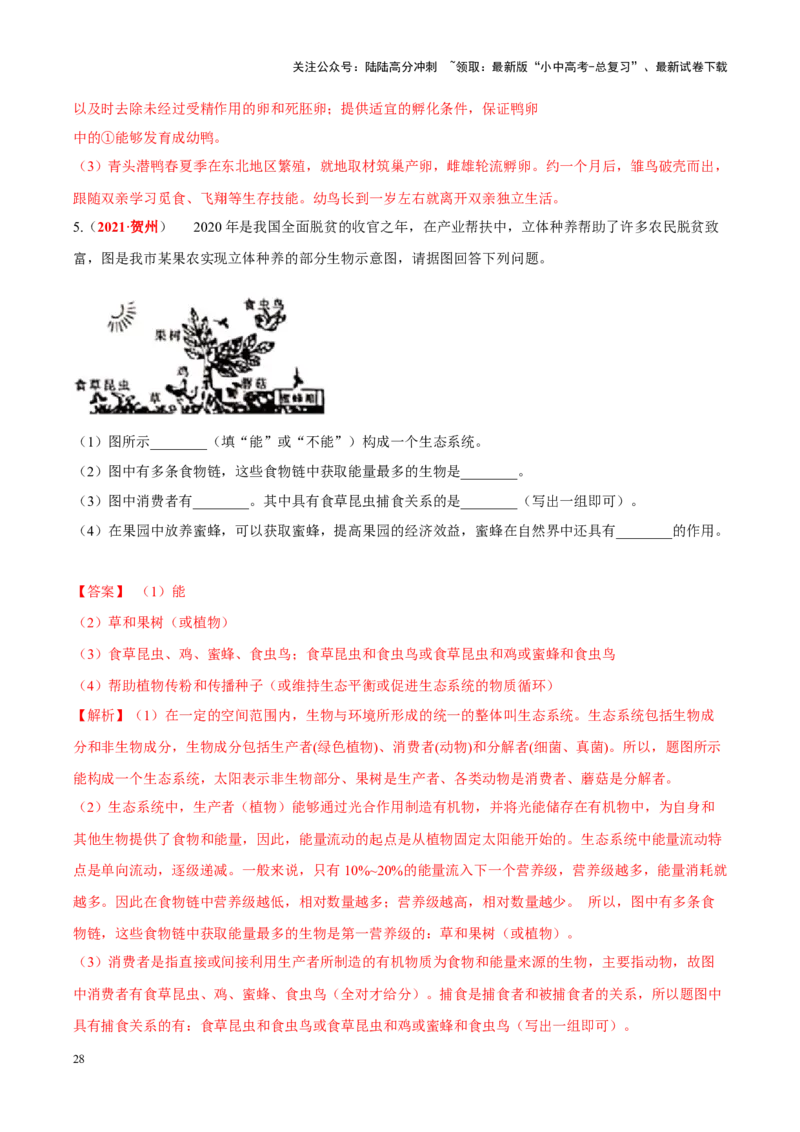 专题09&nbsp;动物的运动和行为（解析版）_02中考总复习（2026版更新中）_08-生物-中考总复习_2024年中考复习资料_专项复习_完三年（2021-2023）中考生物真题分项汇编（全国通用）_答案解析版