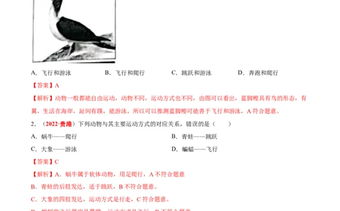 专题09&nbsp;动物的运动和行为（解析版）_02中考总复习（2026版更新中）_08-生物-中考总复习_2024年中考复习资料_专项复习_完三年（2021-2023）中考生物真题分项汇编（全国通用）_答案解析版