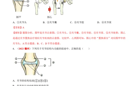 专题09&nbsp;动物的运动和行为（解析版）_02中考总复习（2026版更新中）_08-生物-中考总复习_2024年中考复习资料_专项复习_完三年（2021-2023）中考生物真题分项汇编（全国通用）_答案解析版