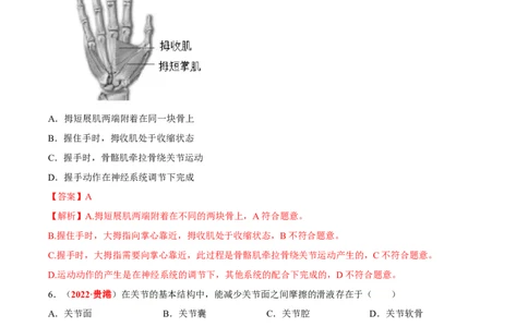 专题09&nbsp;动物的运动和行为（解析版）_02中考总复习（2026版更新中）_08-生物-中考总复习_2024年中考复习资料_专项复习_完三年（2021-2023）中考生物真题分项汇编（全国通用）_答案解析版