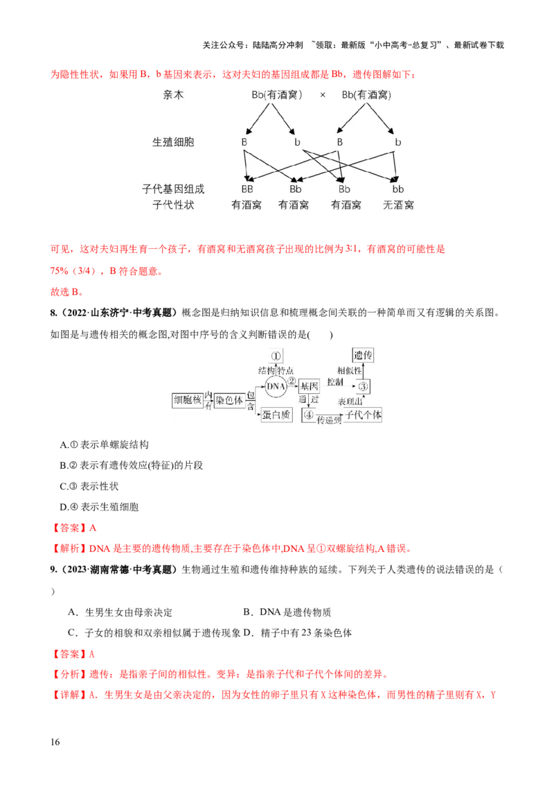 专题21生物的遗传和变异（练习）（解析版）_02中考总复习（2026版更新中）_08-生物-中考总复习_2024年中考复习资料_一轮复习_❤2024年中考生物一轮复习讲练测（全国通用）_练习