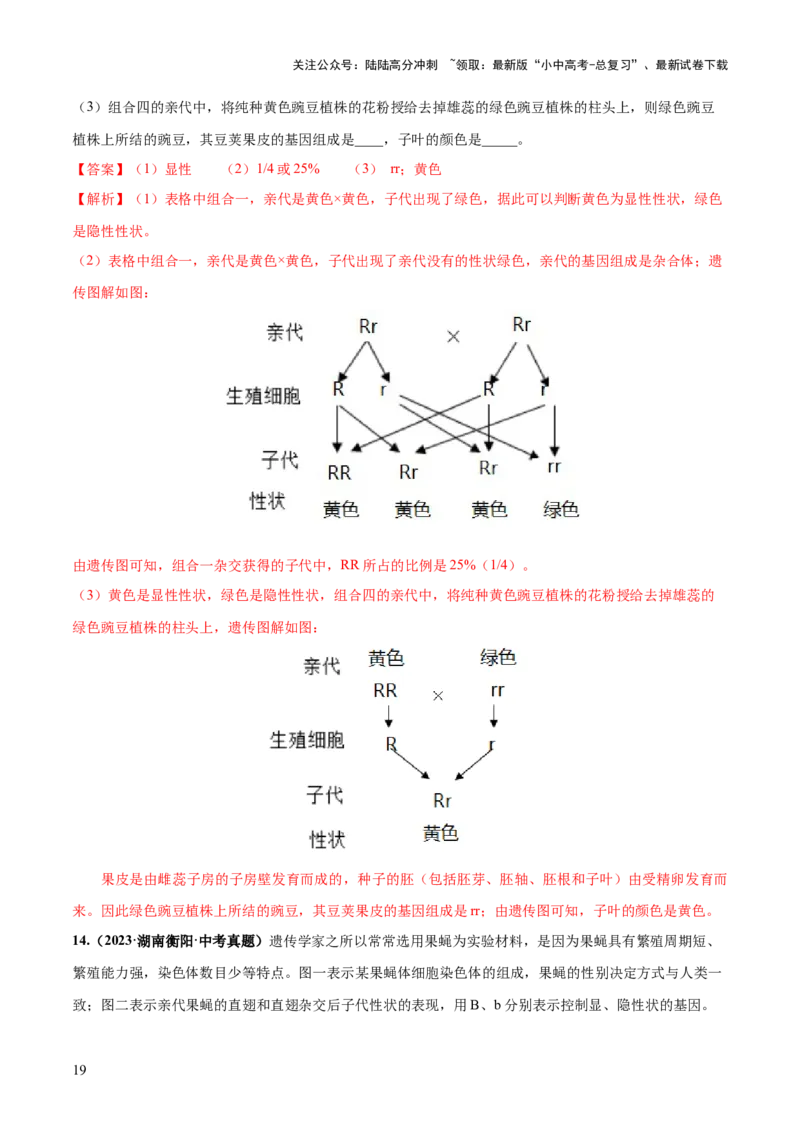 专题21生物的遗传和变异（练习）（解析版）_02中考总复习（2026版更新中）_08-生物-中考总复习_2024年中考复习资料_一轮复习_❤2024年中考生物一轮复习讲练测（全国通用）_练习