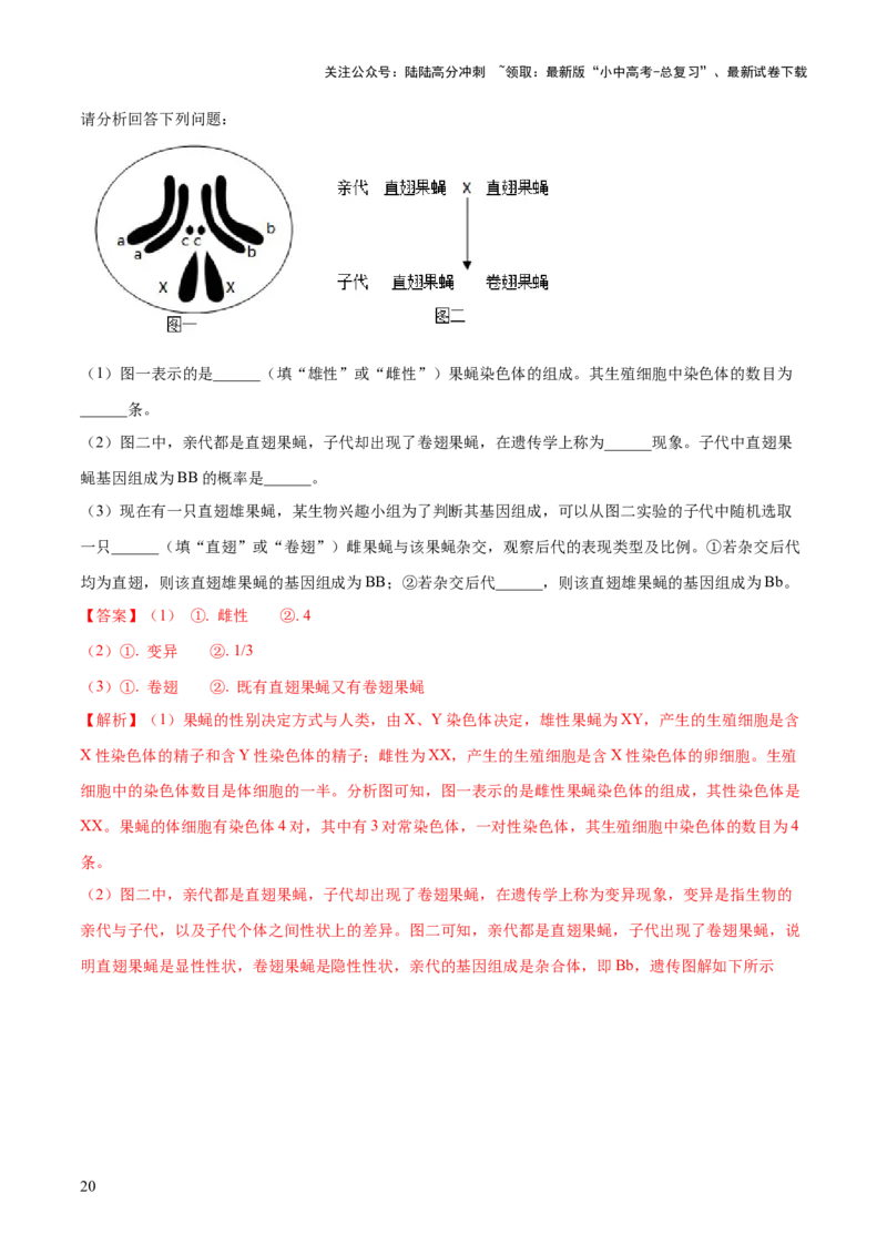 专题21生物的遗传和变异（练习）（解析版）_02中考总复习（2026版更新中）_08-生物-中考总复习_2024年中考复习资料_一轮复习_❤2024年中考生物一轮复习讲练测（全国通用）_练习