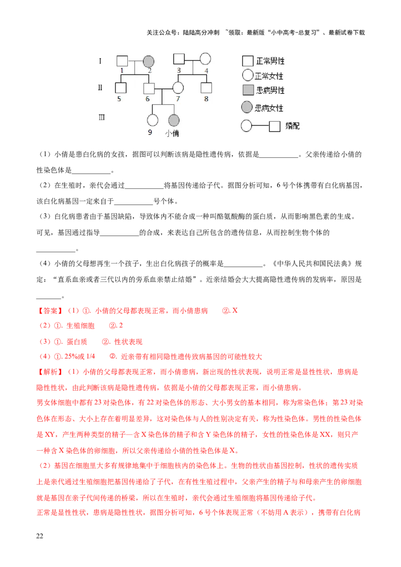 专题21生物的遗传和变异（练习）（解析版）_02中考总复习（2026版更新中）_08-生物-中考总复习_2024年中考复习资料_一轮复习_❤2024年中考生物一轮复习讲练测（全国通用）_练习