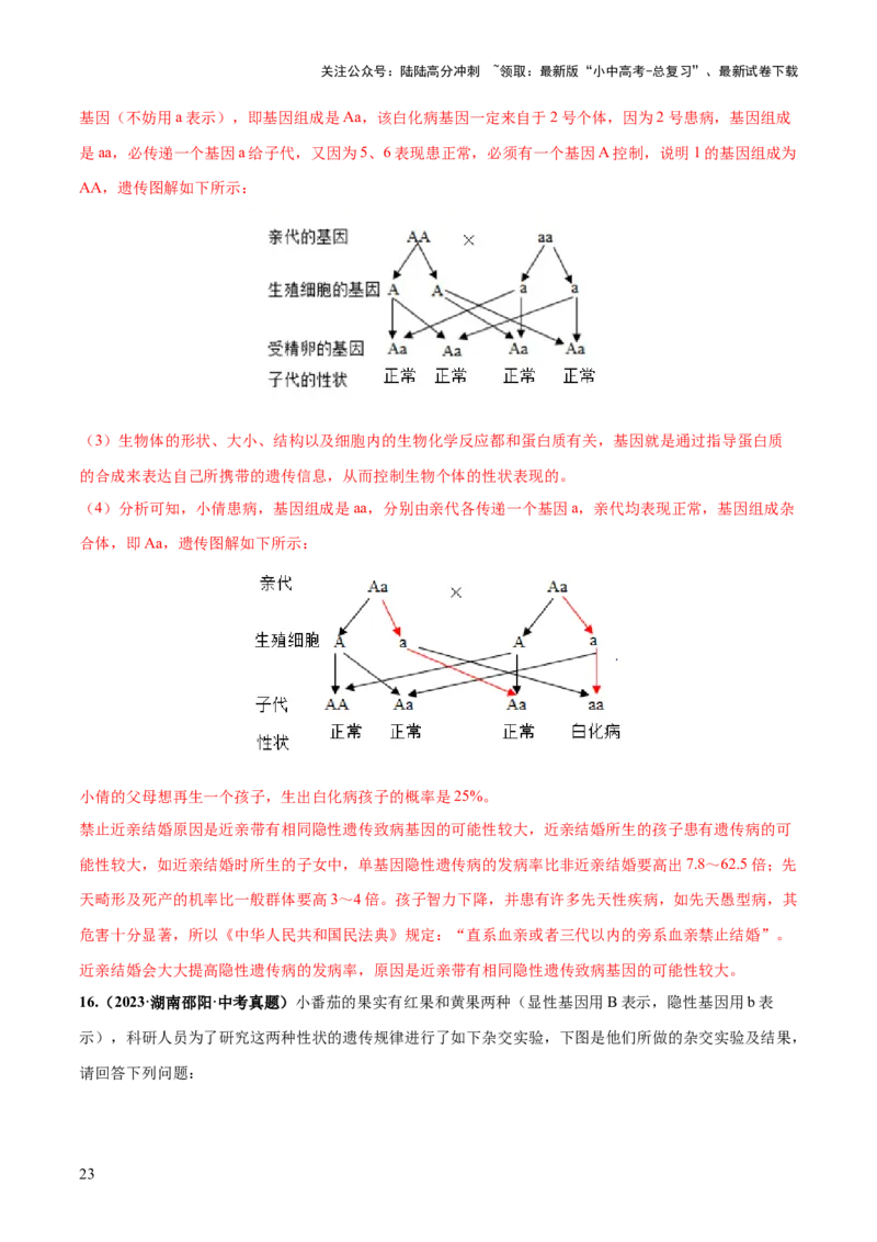 专题21生物的遗传和变异（练习）（解析版）_02中考总复习（2026版更新中）_08-生物-中考总复习_2024年中考复习资料_一轮复习_❤2024年中考生物一轮复习讲练测（全国通用）_练习