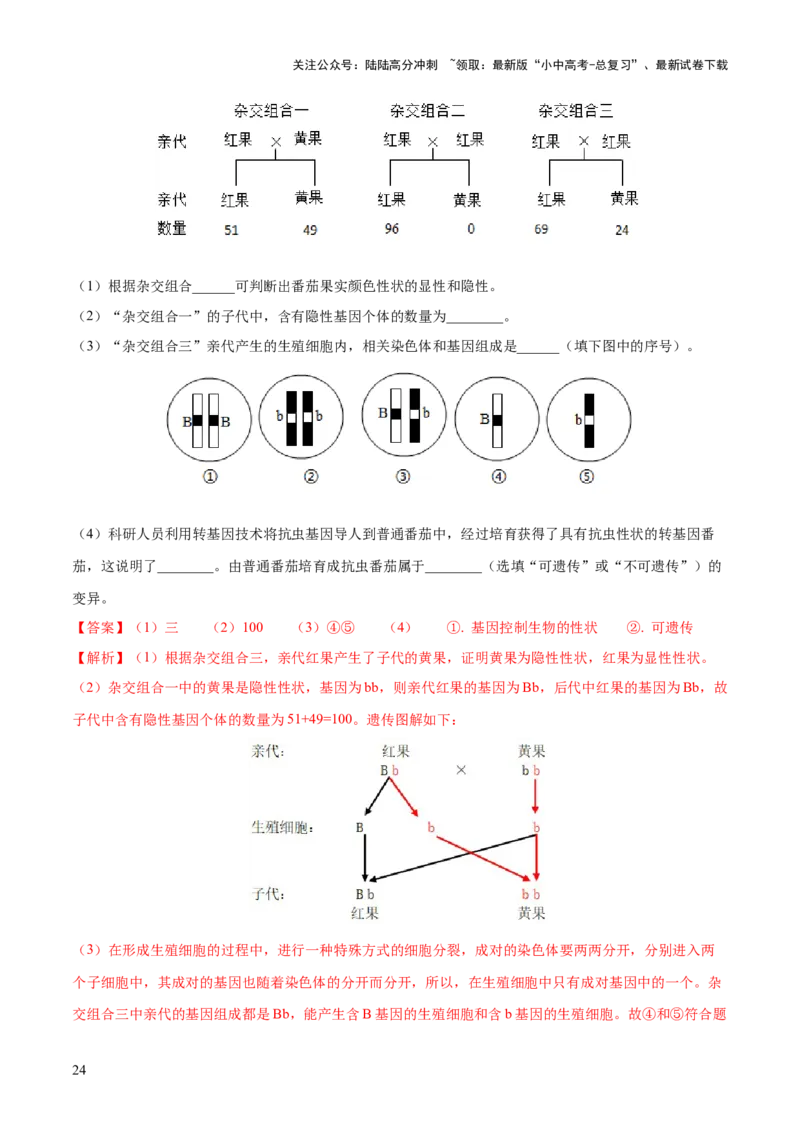 专题21生物的遗传和变异（练习）（解析版）_02中考总复习（2026版更新中）_08-生物-中考总复习_2024年中考复习资料_一轮复习_❤2024年中考生物一轮复习讲练测（全国通用）_练习