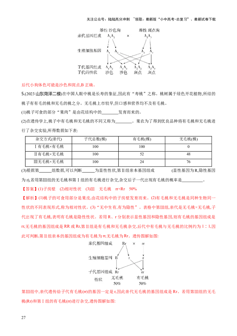 专题21生物的遗传和变异（练习）（解析版）_02中考总复习（2026版更新中）_08-生物-中考总复习_2024年中考复习资料_一轮复习_❤2024年中考生物一轮复习讲练测（全国通用）_练习